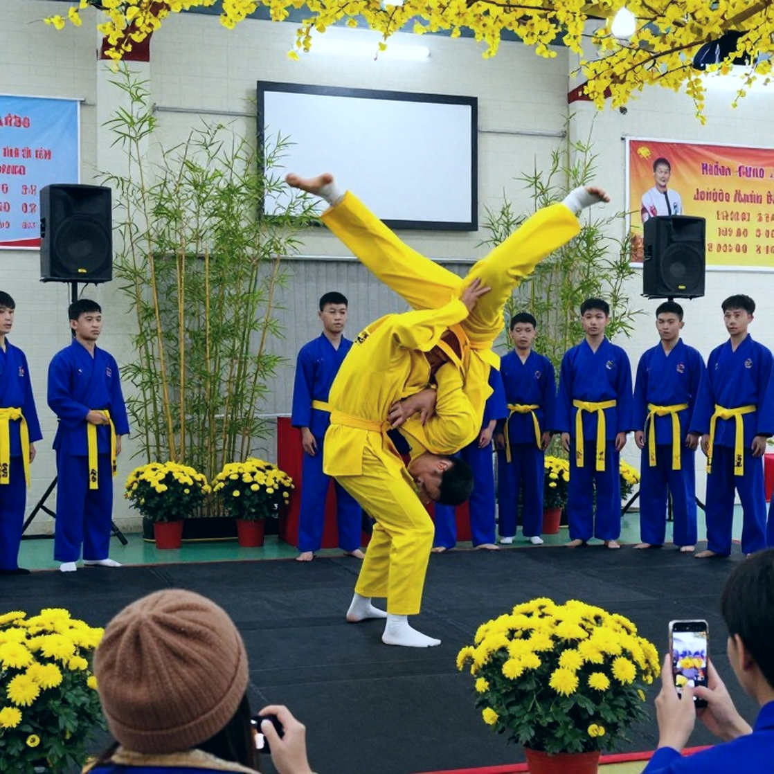 Vietnamese Martial Arts and the Trap of One Ruler for All Disciplines