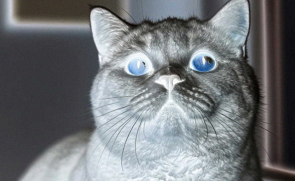 Lời Thú Nhận Của Một Người Mở Đường: Tại Sao Chúng Ta Phải Đo Lại Bóng Đá Nữ Đông Phi